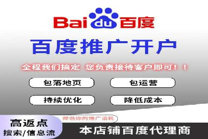 百度SEO推广公司案例分享：行业佼佼者经验